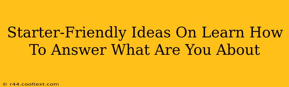 Starter-Friendly Ideas On Learn How To Answer What Are You About