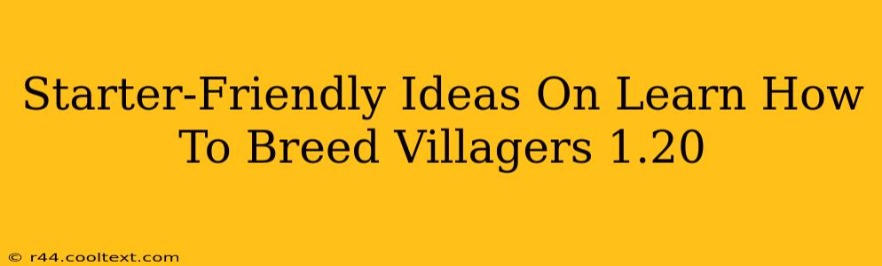 Starter-Friendly Ideas On Learn How To Breed Villagers 1.20