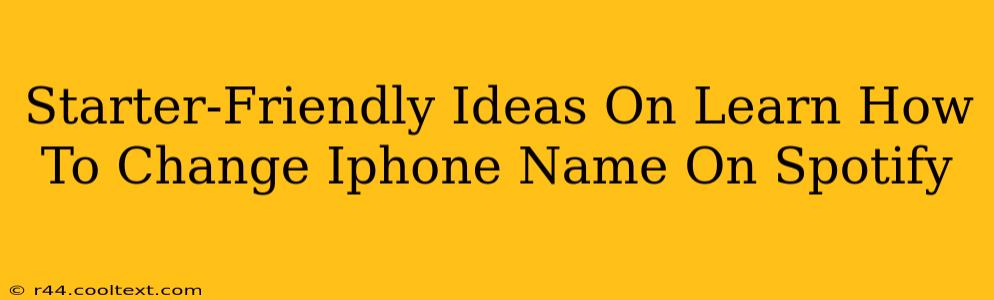 Starter-Friendly Ideas On Learn How To Change Iphone Name On Spotify