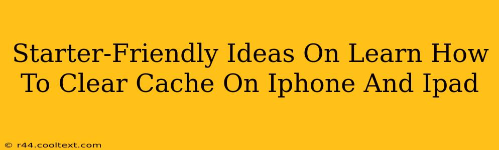 Starter-Friendly Ideas On Learn How To Clear Cache On Iphone And Ipad