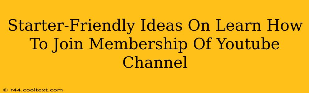 Starter-Friendly Ideas On Learn How To Join Membership Of Youtube Channel