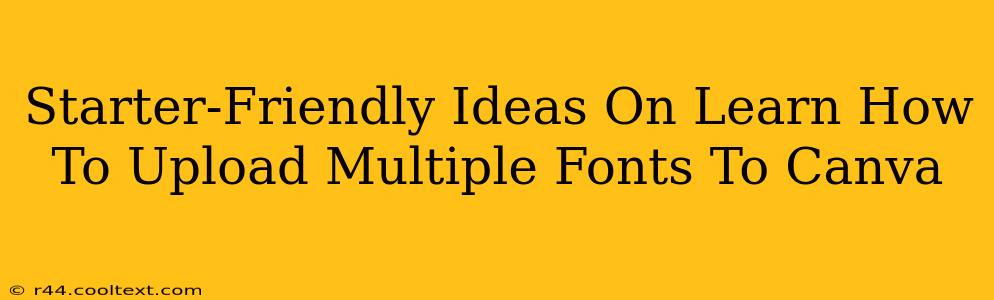 Starter-Friendly Ideas On Learn How To Upload Multiple Fonts To Canva