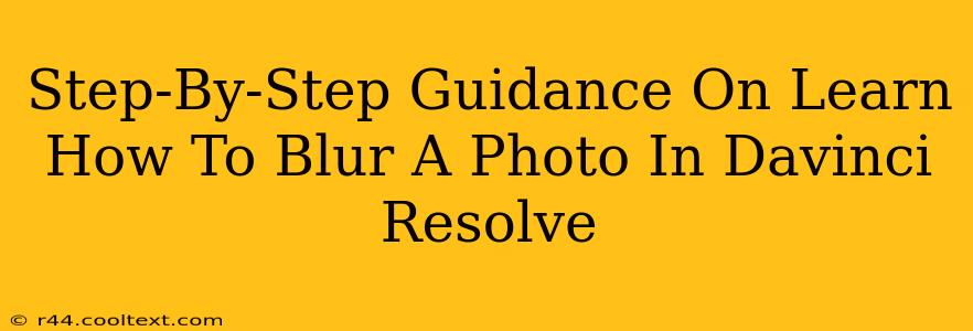 Step-By-Step Guidance On Learn How To Blur A Photo In Davinci Resolve