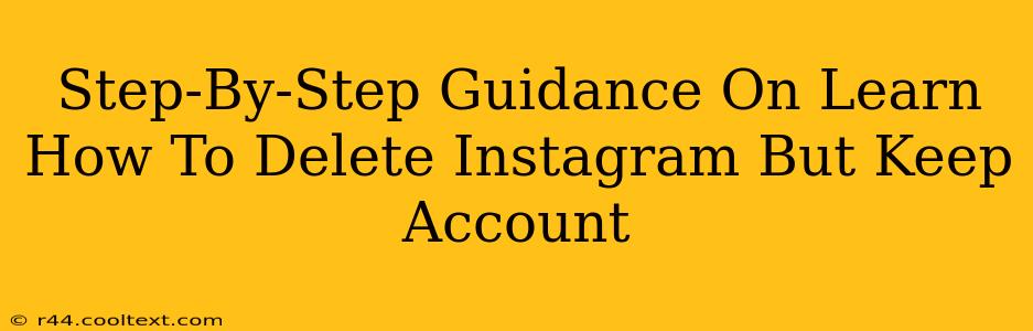 Step-By-Step Guidance On Learn How To Delete Instagram But Keep Account