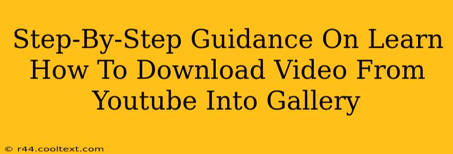 Step-By-Step Guidance On Learn How To Download Video From Youtube Into Gallery