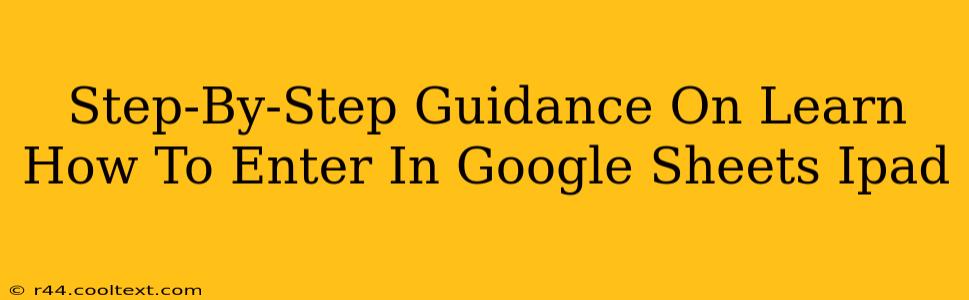 Step-By-Step Guidance On Learn How To Enter In Google Sheets Ipad