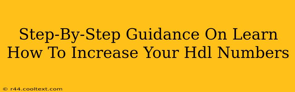 Step-By-Step Guidance On Learn How To Increase Your Hdl Numbers