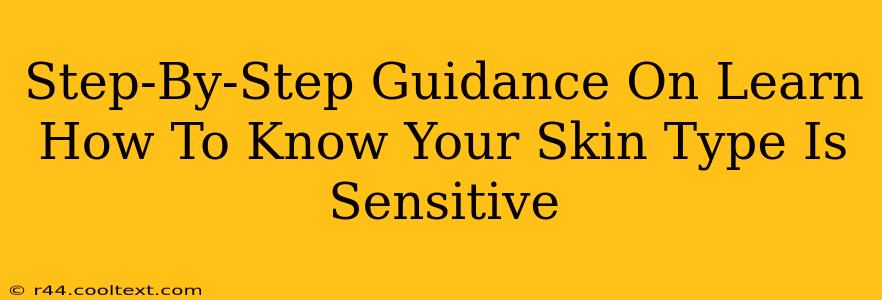 Step-By-Step Guidance On Learn How To Know Your Skin Type Is Sensitive