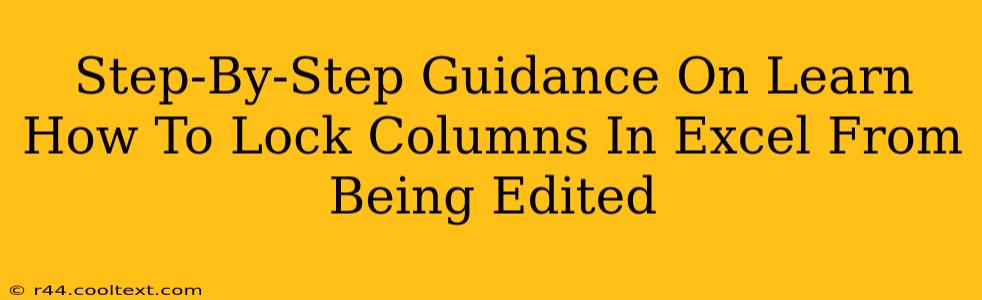 Step-By-Step Guidance On Learn How To Lock Columns In Excel From Being Edited