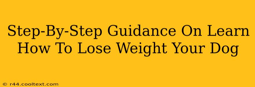 Step-By-Step Guidance On Learn How To Lose Weight Your Dog