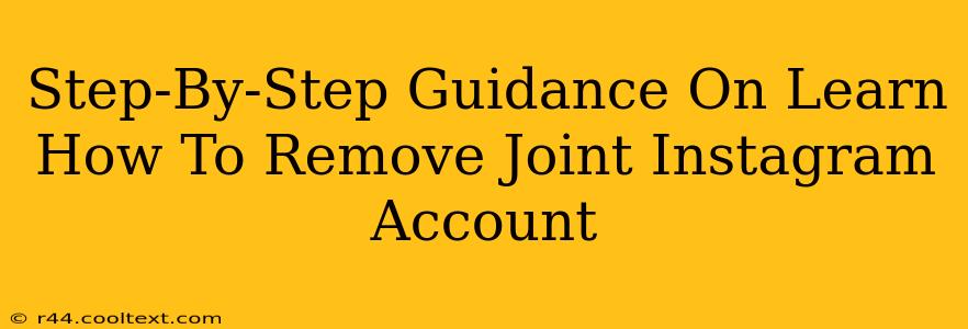 Step-By-Step Guidance On Learn How To Remove Joint Instagram Account