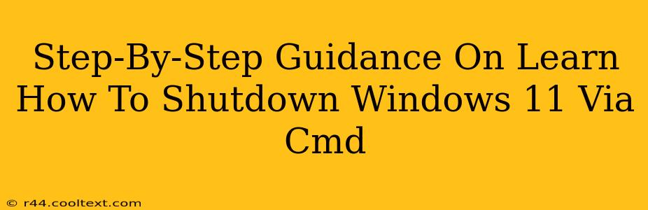 Step-By-Step Guidance On Learn How To Shutdown Windows 11 Via Cmd