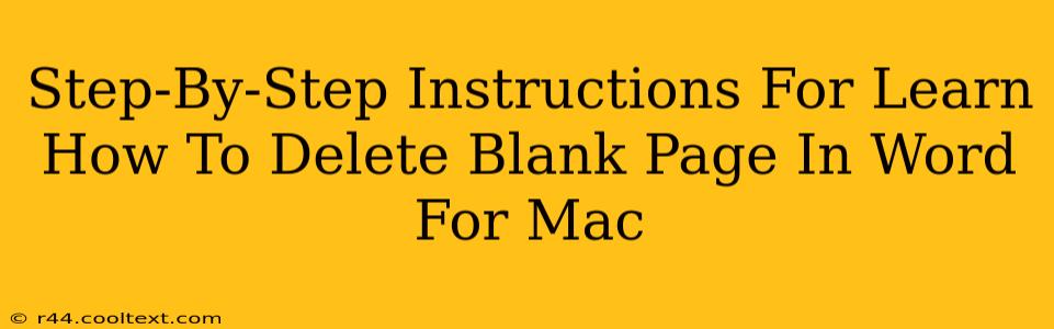 Step-By-Step Instructions For Learn How To Delete Blank Page In Word For Mac