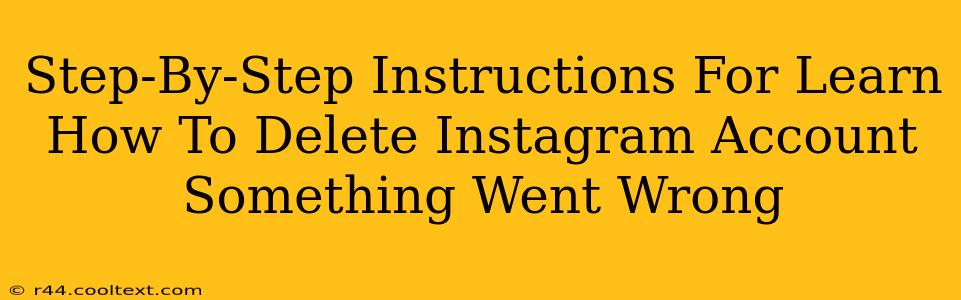 Step-By-Step Instructions For Learn How To Delete Instagram Account Something Went Wrong