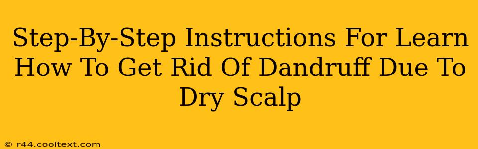 Step-By-Step Instructions For Learn How To Get Rid Of Dandruff Due To Dry Scalp