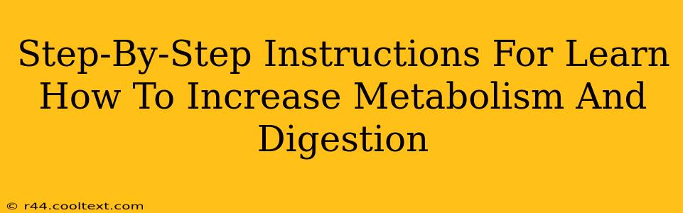 Step-By-Step Instructions For Learn How To Increase Metabolism And Digestion