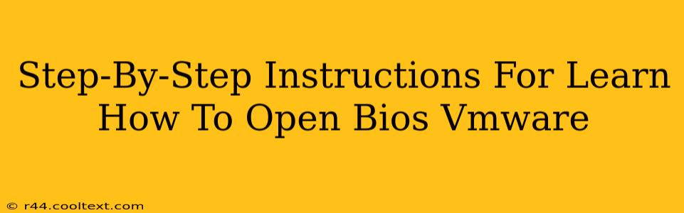 Step-By-Step Instructions For Learn How To Open Bios Vmware