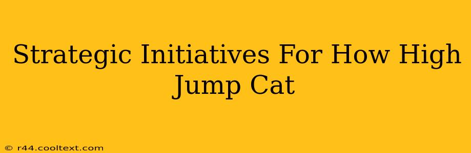 Strategic Initiatives For How High Jump Cat