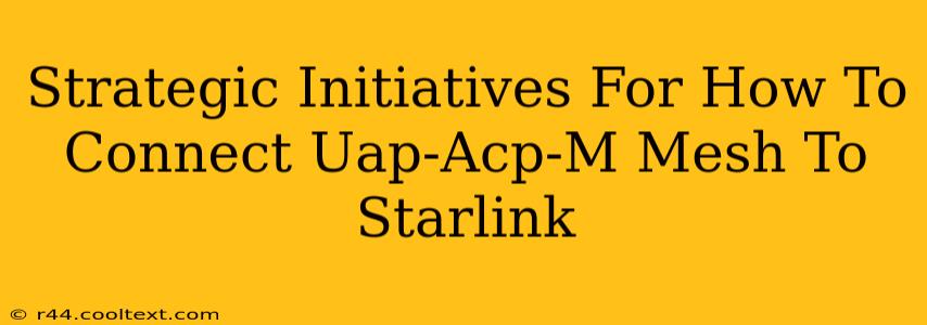 Strategic Initiatives For How To Connect Uap-Acp-M Mesh To Starlink