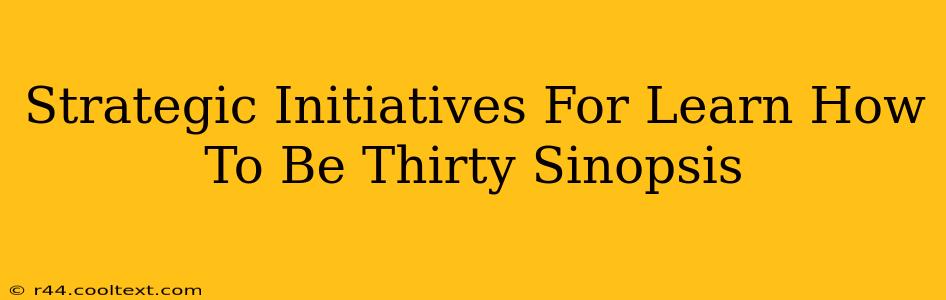 Strategic Initiatives For Learn How To Be Thirty Sinopsis