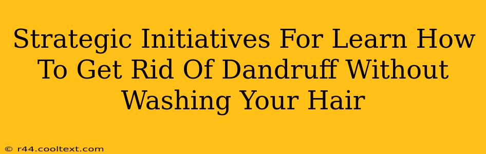 Strategic Initiatives For Learn How To Get Rid Of Dandruff Without Washing Your Hair