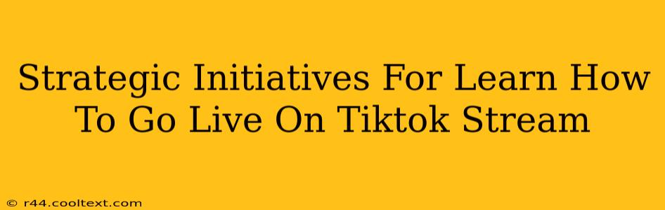 Strategic Initiatives For Learn How To Go Live On Tiktok Stream