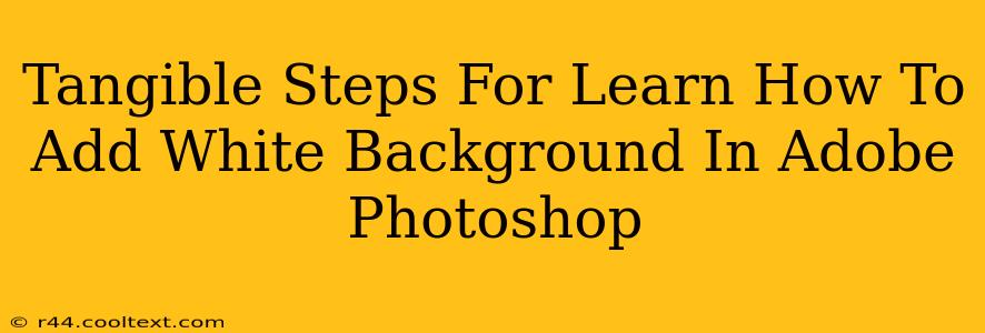 Tangible Steps For Learn How To Add White Background In Adobe Photoshop