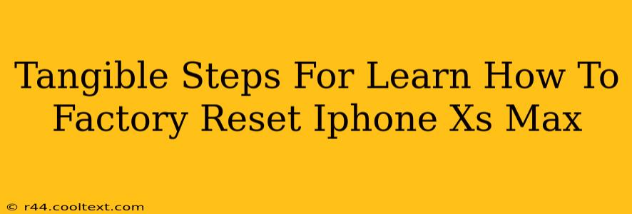 Tangible Steps For Learn How To Factory Reset Iphone Xs Max