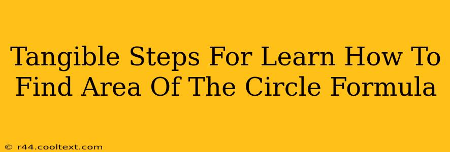 Tangible Steps For Learn How To Find Area Of The Circle Formula