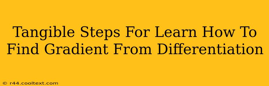 Tangible Steps For Learn How To Find Gradient From Differentiation