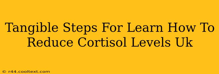 Tangible Steps For Learn How To Reduce Cortisol Levels Uk