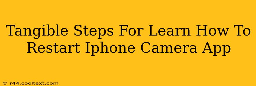 Tangible Steps For Learn How To Restart Iphone Camera App