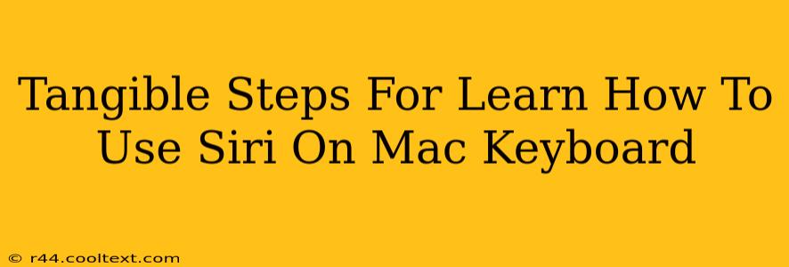 Tangible Steps For Learn How To Use Siri On Mac Keyboard