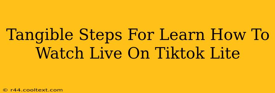 Tangible Steps For Learn How To Watch Live On Tiktok Lite