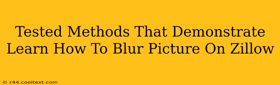 Tested Methods That Demonstrate Learn How To Blur Picture On Zillow