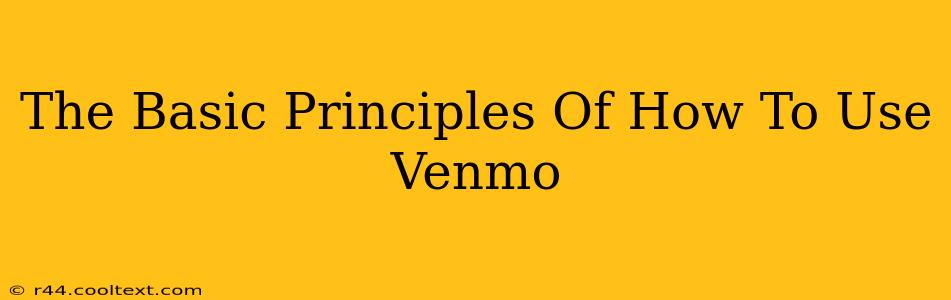 The Basic Principles Of How To Use Venmo