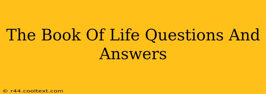 The Book Of Life Questions And Answers