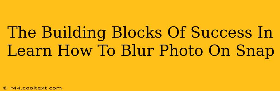 The Building Blocks Of Success In Learn How To Blur Photo On Snap