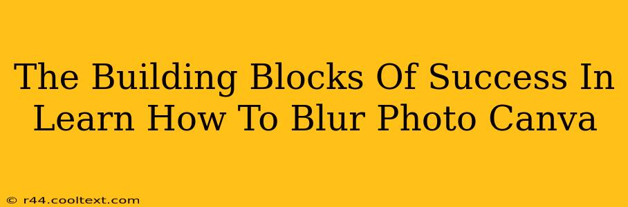 The Building Blocks Of Success In Learn How To Blur Photo Canva