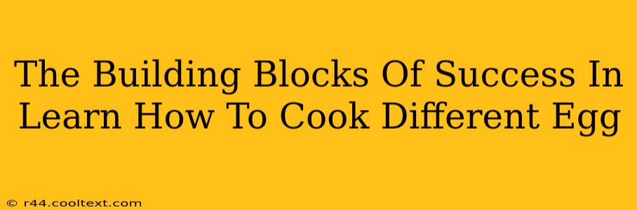 The Building Blocks Of Success In Learn How To Cook Different Egg