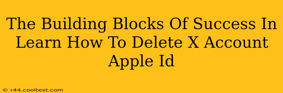 The Building Blocks Of Success In Learn How To Delete X Account Apple Id