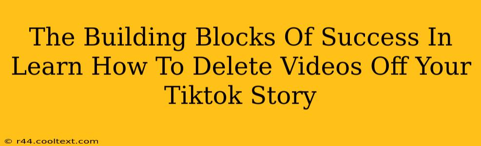 The Building Blocks Of Success In Learn How To Delete Videos Off Your Tiktok Story