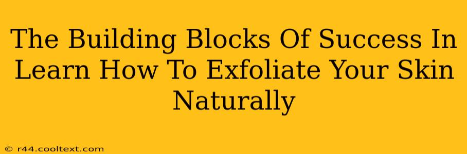 The Building Blocks Of Success In Learn How To Exfoliate Your Skin Naturally