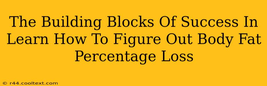 The Building Blocks Of Success In Learn How To Figure Out Body Fat Percentage Loss