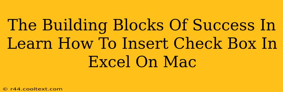 The Building Blocks Of Success In Learn How To Insert Check Box In Excel On Mac