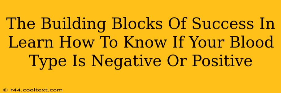 The Building Blocks Of Success In Learn How To Know If Your Blood Type Is Negative Or Positive