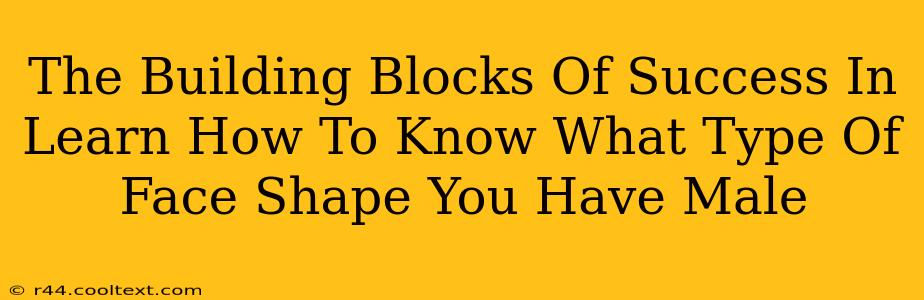 The Building Blocks Of Success In Learn How To Know What Type Of Face Shape You Have Male