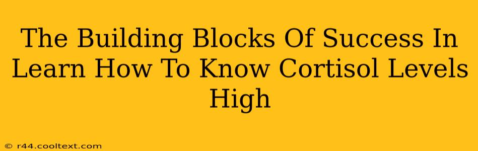 The Building Blocks Of Success In Learn How To Know Cortisol Levels High