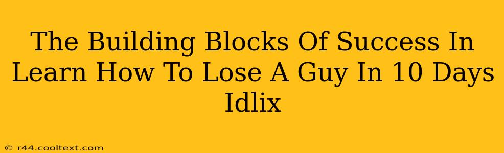 The Building Blocks Of Success In Learn How To Lose A Guy In 10 Days Idlix