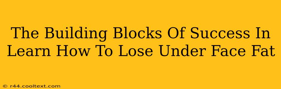 The Building Blocks Of Success In Learn How To Lose Under Face Fat